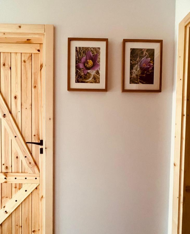Sasanka - Gorski Apartament Z Ogrodkiem Zakopane Exterior foto